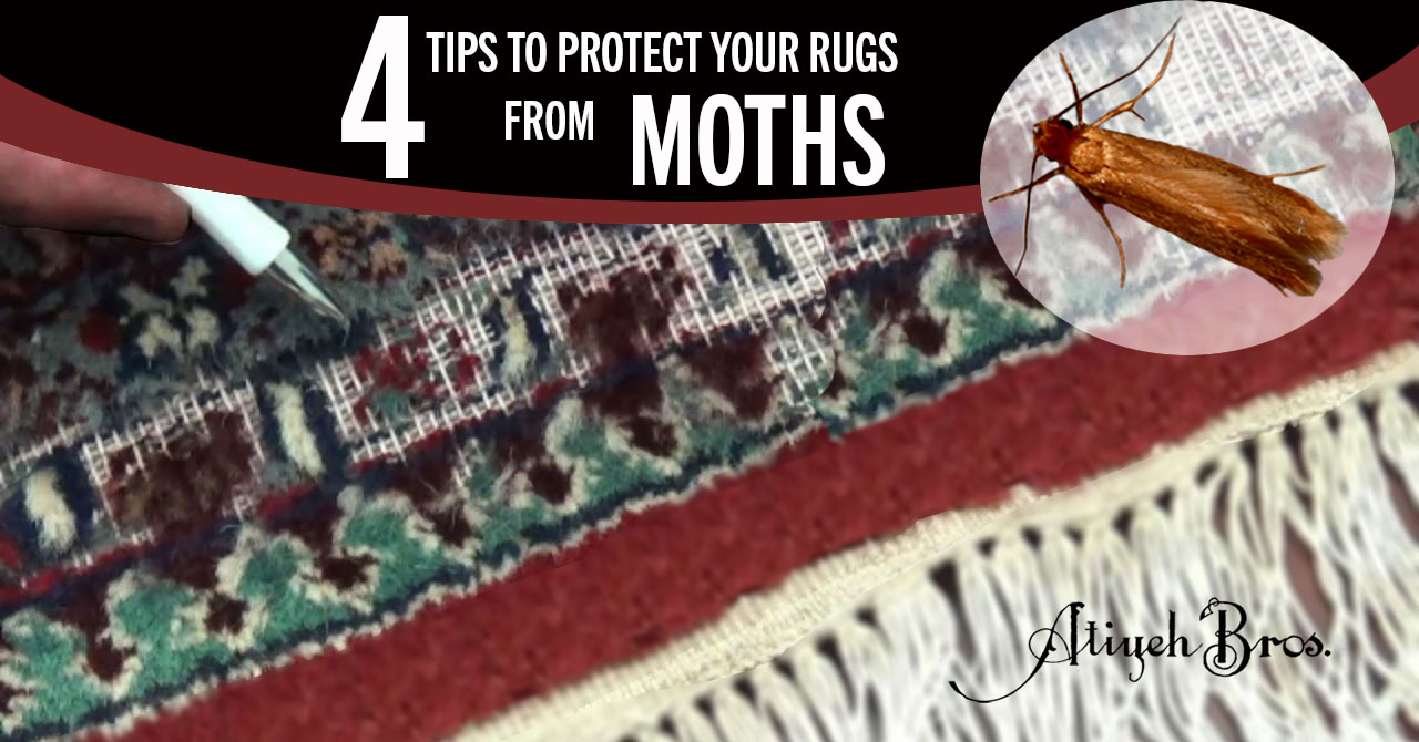 keep moths away from rugs