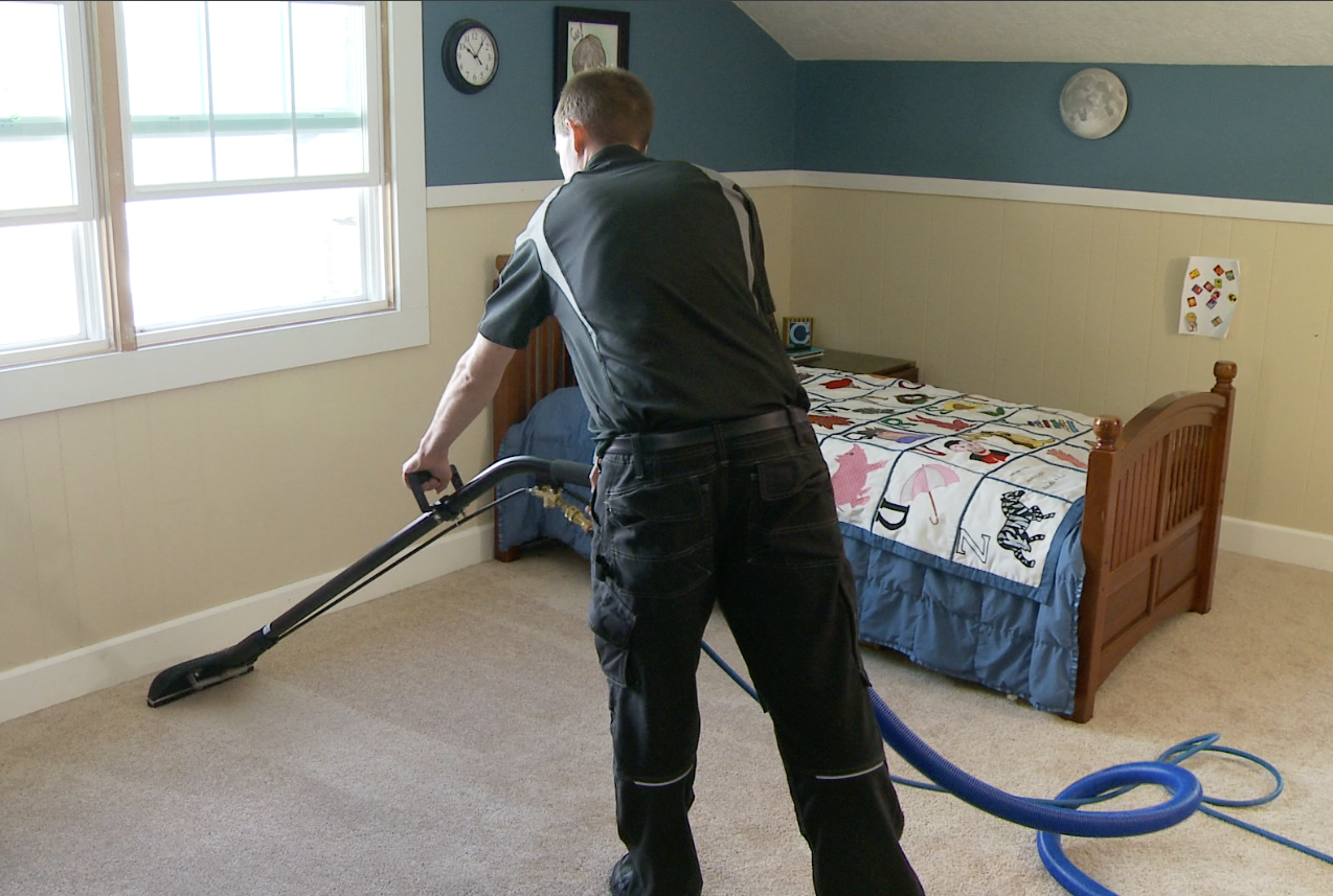 How to hire a professional carpet cleaner