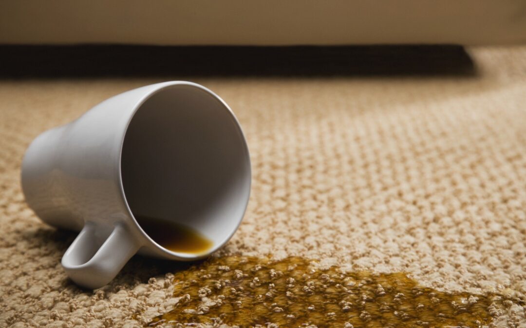 Your DIY Guide for 7 Common Rug Stains