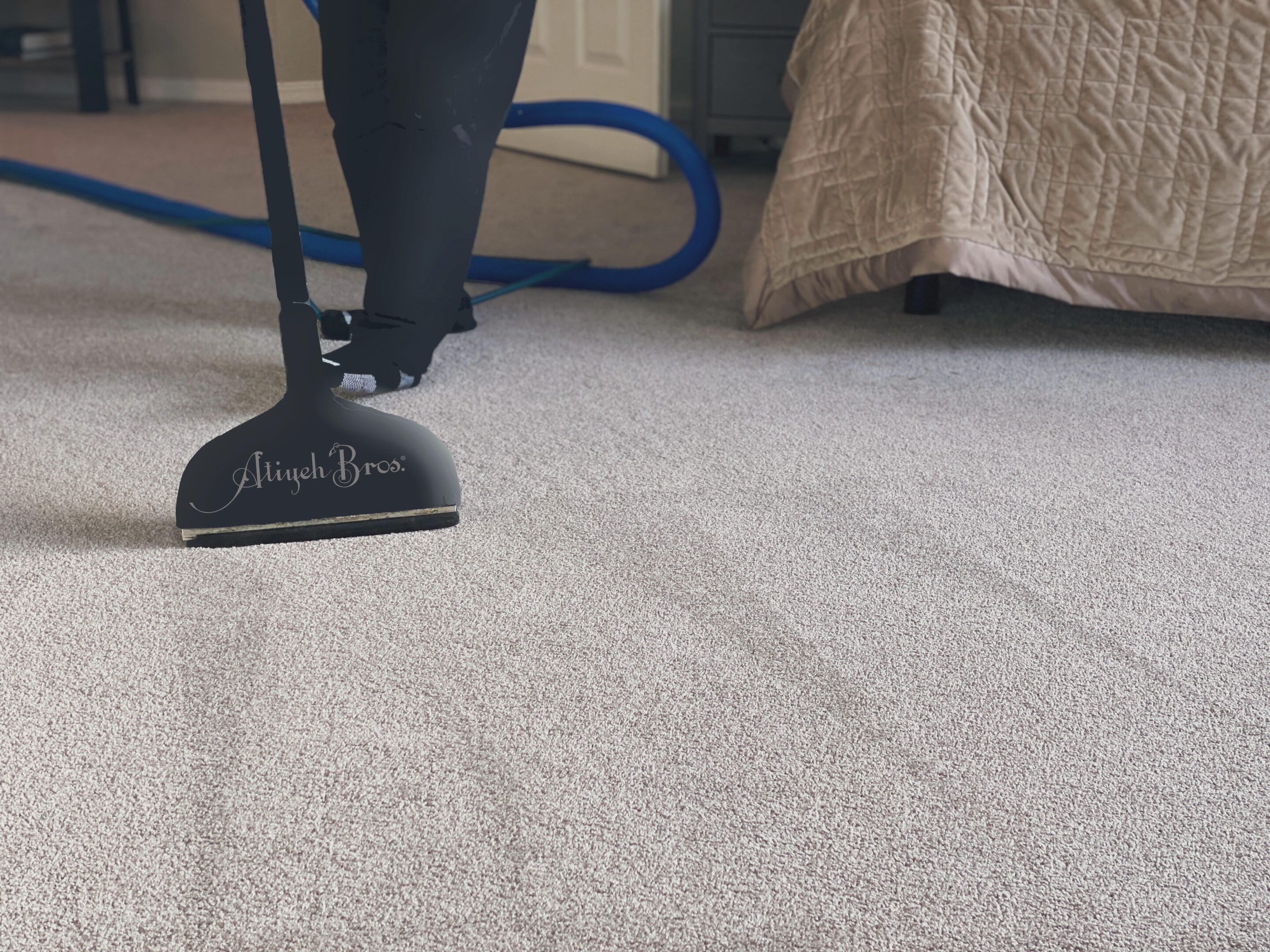 Carpet Cleaning