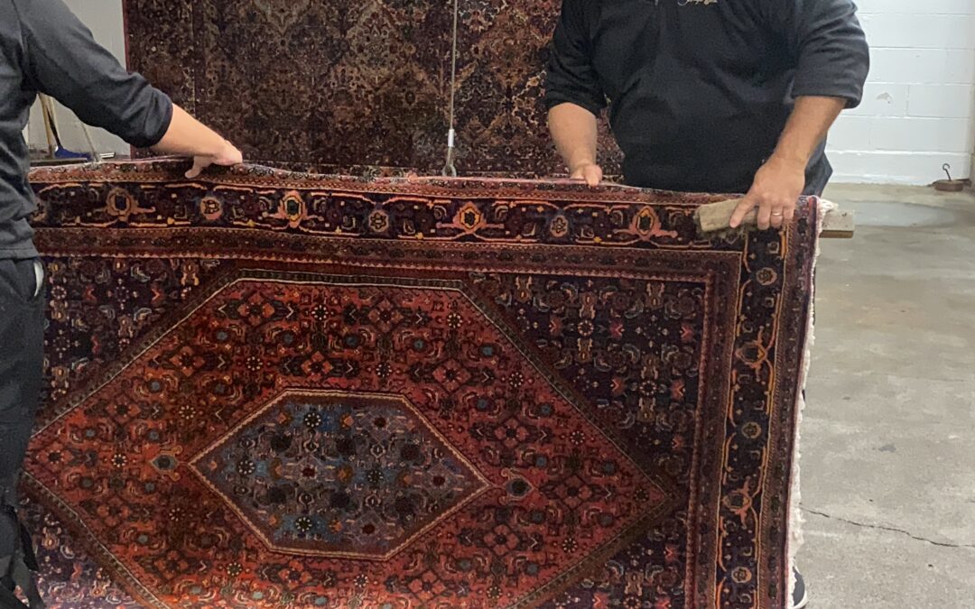 Why Proper Drying Is Critical After Rug Cleaning