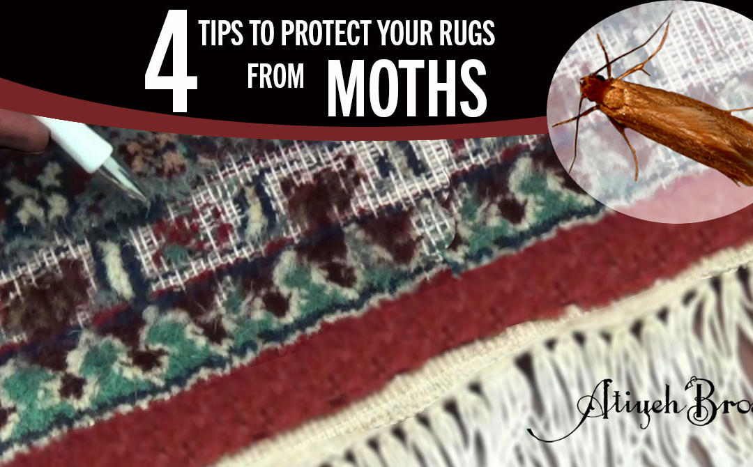 Protect Your Rugs From Moths
